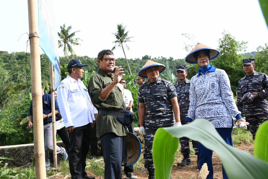 Danlanal Banten Pelopori Panen Raya Sorgum Untuk Pertama Kalinya Di Kota Cilegon
