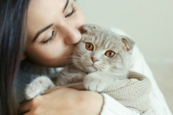 10 Manfaat Ketika Kamu Memelihara Kucing