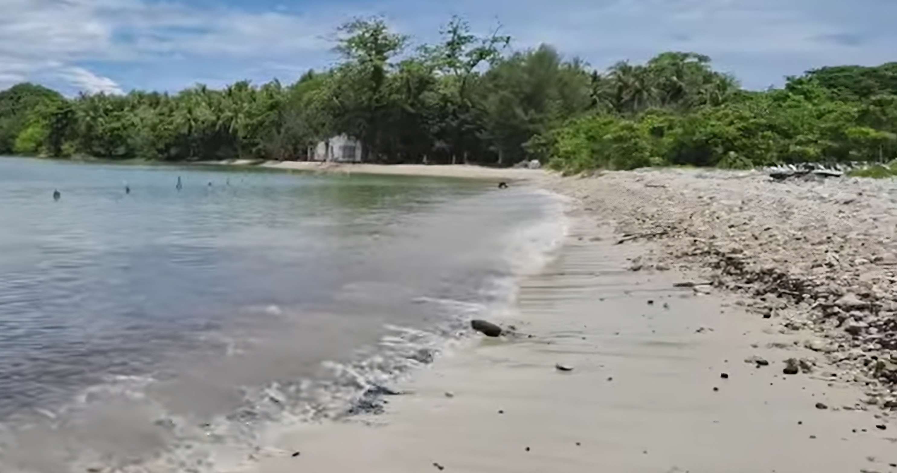 Pulau Popole
