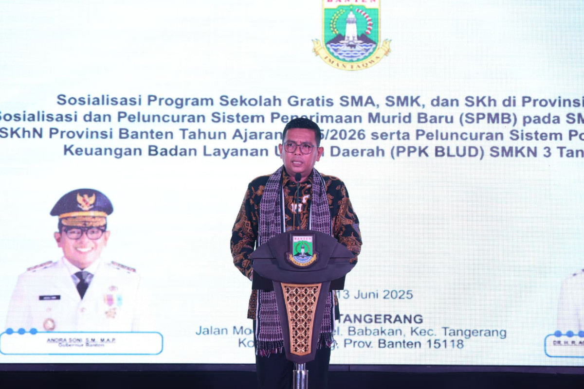 Gubernur Banten, Andra Soni